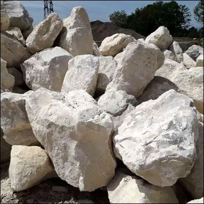 Quelle roche métamorphique dérivée du calcaire a son palais à Nice ?