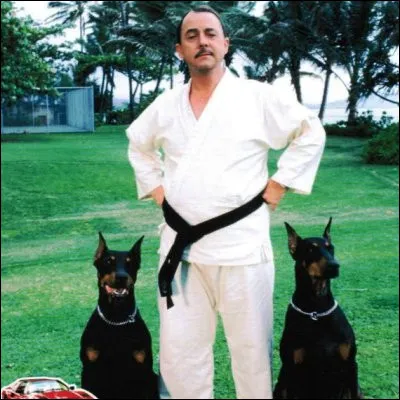 Dans quelle série télévisée américaine le personnage principal travaille-t-il pour un riche écrivain appelé Robin Masters ?