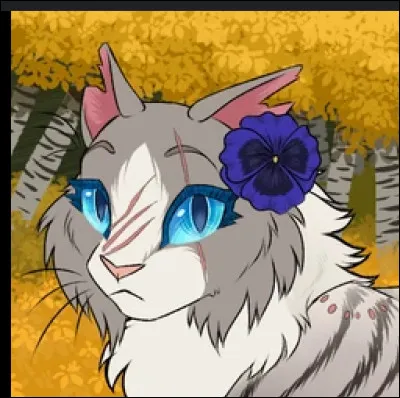 Comment meurt Œil de Mousse ?