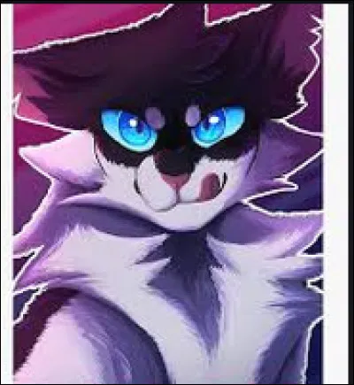 Qui est le frère d'Ombre Noire ?