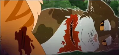 Qui devient un chat domestique (temporairement) ?