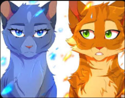 Qui veut devenir guérisseur ?