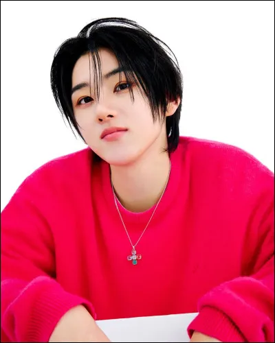 Qui sont les deux membres japonais ?