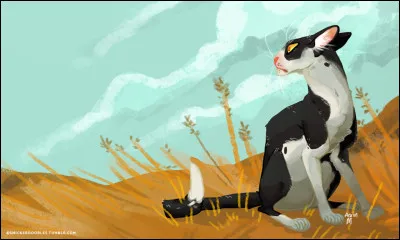 Ce couple-là est illégal, un du Vent et l'autre du Tonnerre.