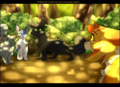 Un peu moins commun, ce couple-là est formé d'un chat très timide et d'un autre qui a vécu des choses horribles.