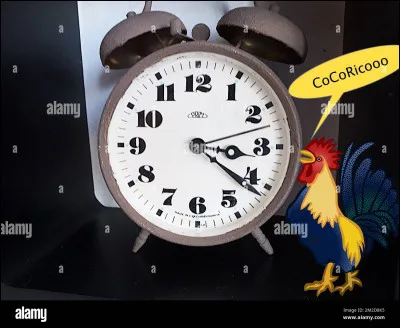 Es-tu plutôt lève-tôt ou lève-tard ?