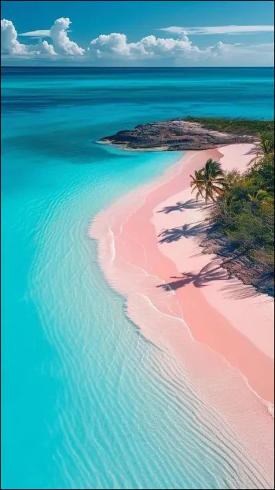 Quelle est la chose qui témerveille ?