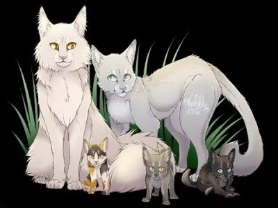 Avec quels chatons est née Étoile Sanglante ?
