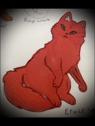 Quel était le nom de guerrière dÉtoile Sanglante ?