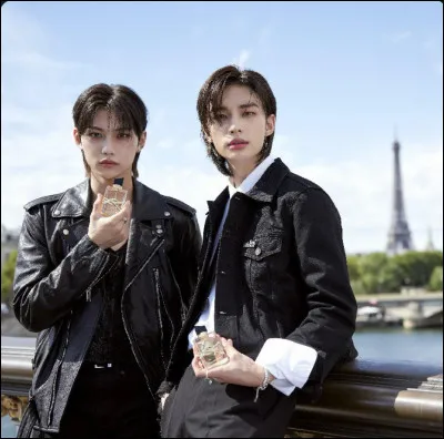 Quelle couleur préfères-tu ?