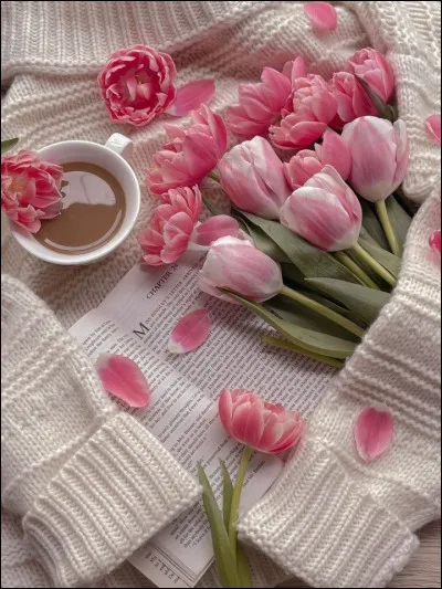 Quel est le mot qui te décrit le mieux ?