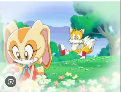 De qui Tails est-il plus proche que Sonic ?