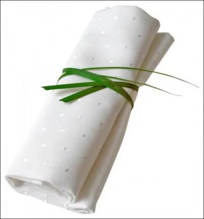 Vous placerez votre serviette de table  moiti dplie. .