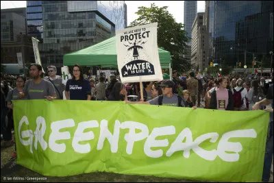Qui a collaboré avec Green Peace ?