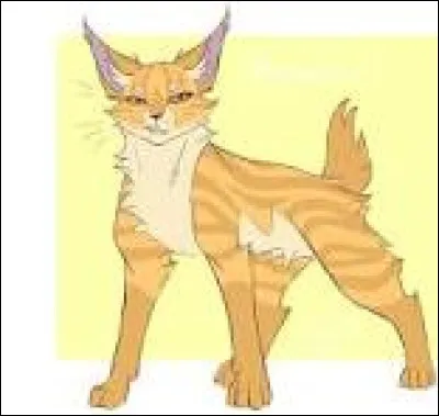 Petit Tigre complète en disant que lui, il aimerait se nommer il de Tigre pour former sa précision et sa bonne vue. Tu trouves que le nom n'est pas le meilleur, tu préfères Croc de Tigre. Le lui dis-tu ?