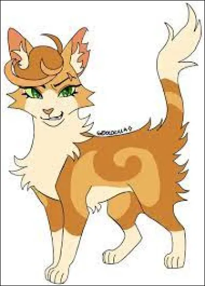 C'est enfin le grand jour ! Tu deviens Nuage d'Érable, et ton frère est Nuage du Tigre. Quel mentor souhaiterais-tu avoir ?