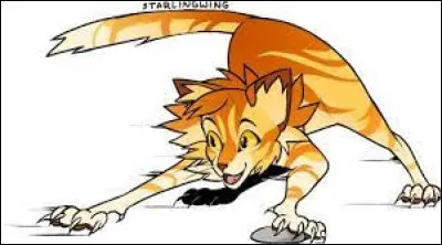 Tu as finalement Pomme Tigrée, et ton frère a Plume Rayée. Tu le plains, finalement, il est trop intense pour toi. Pomme Rayée te montre le territoire en premier. Il te demande quel morceau du territoire tu préfères.