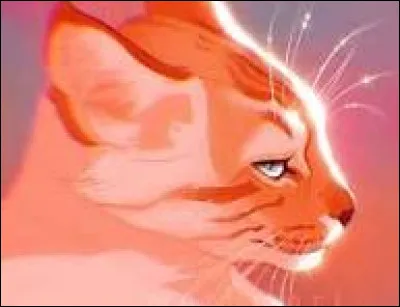 Vous y allez finalement et il accepte de vous suivre. Il dit que son nom est Oreo. Vous le menez au Clan du Vent, sans le suivre. Vous voyez de loin qu'il se fait accepter dans le clan et que son nouveau nom est Patte de Gerboise. Et futur Étoile de la Gerboise. Mais... ton frère... est mort.