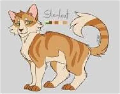 Tu reviens à ton clan, tous sont soulagés de te revoir et vivent un deuil pour Moustaches de Tigre. Tu te rends rapidement compte que ton père est devenu fou. Il prétend que sa famille passe avant tout, et que c'est une famille royale, voilà pourquoi tu deviens lieutenante tout de suite. Brise de Pollen attend de nouveaux chatons. Comment vis-tu cette nouvelle ?