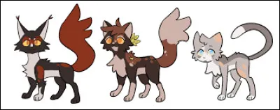 Tu finis par le tuer. Tu deviens Étoile Hirsute en honneur à tous tes poils hirsutes. Tu apprends que tu attends trois chatons, ceux d'Étoile de la Gerboise. Tu gardes tes chatons dans ton clan, et ils naissent enfin. Ils sont trois. Comment nommes-tu le premier ? C'est un mâle.