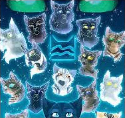 Croirais-tu au Clan des Étoiles ?