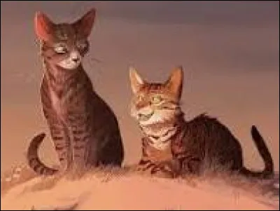 Serais-tu loyal(e) envers un chef qui est diabolique comme Étoile Brisée ?