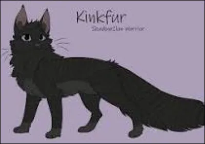 Quelle est ta couleur préférée ?