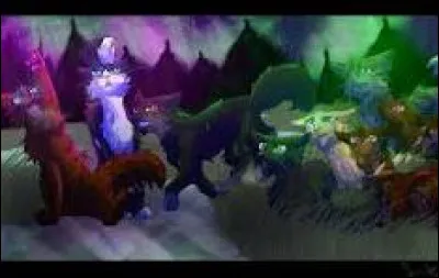 Aimes-tu être dans une fête où il y a beaucoup de gens ?