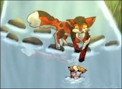 Es-tu plutôt optimiste ou négatif ?