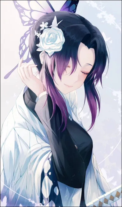 Sur ton fanart, tu préfères :