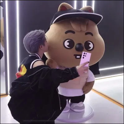 Quel est ton animal préféré ? (1)