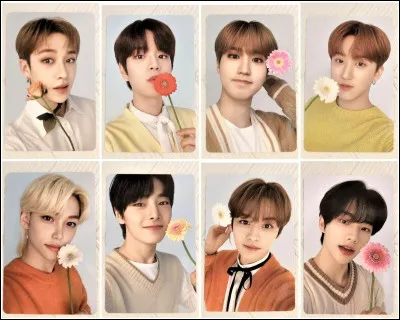 Quel est ton ship préféré ?