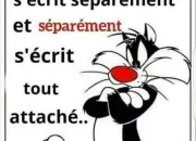 Quiz Retrouvez le ou les humoristes par leurs citations