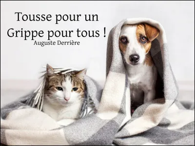 43e étage sans ascenseur - 43e sans ascenseur ? Y a pas de problème hein, y a pas de problème - Non, mais 43 étages il faut les monter à pied madame - Mais je le fais bien monsieur !