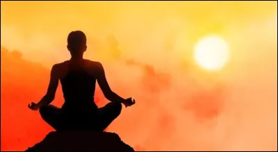 Quelle race de chat est réputée pour être la plus calme ?