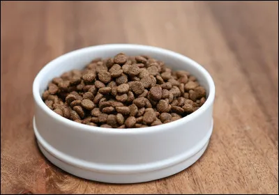 Quelle nourriture n'est pas toxique pour les chats ?