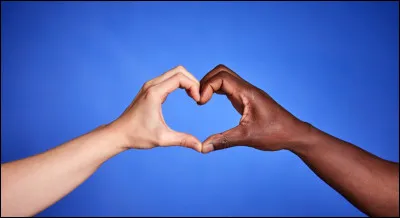 En France le racisme est puni par la loi.