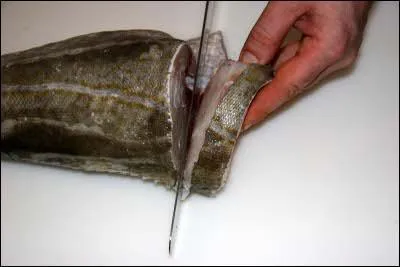 Une 'darne' de poisson est :