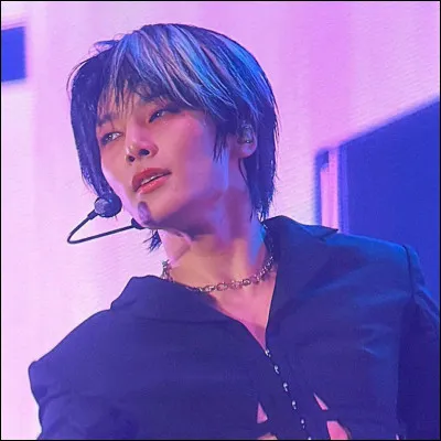 Qui a chanté "Hallucination" ?