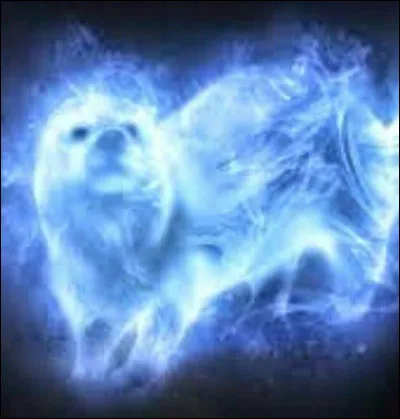 A qui appartient ce Patronus ?