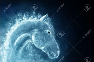 A qui appartient ce Patronus ?