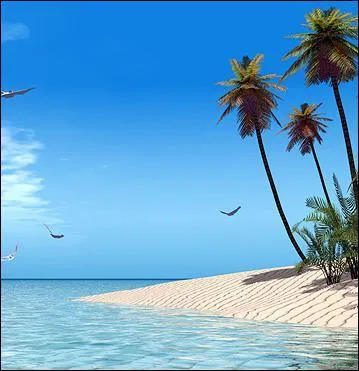 Comment se nomme la ville qui se trouve la plus au Sud des Etats-Unis ?