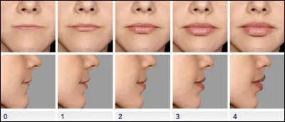 Comment d&eacute;crirais-tu la forme de tes l&egrave;vres ?