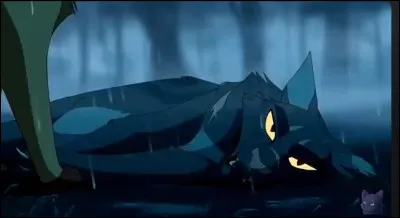 Tu es un chaton et tu t'appelles...