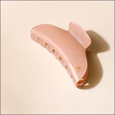 Dernière question : quelle pince mettrais-tu dans tes cheveux ?