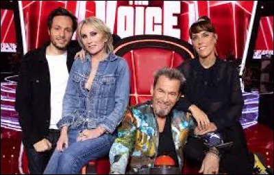 Sur quelle chaîne est diffusée "The Voice" ?