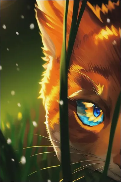 Qui est représenté ici ?