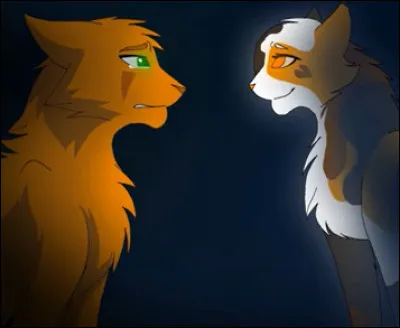 Quel moment magique représente cette image trop belle ?