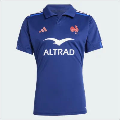 Comment est surnommé l'équipe de France ?