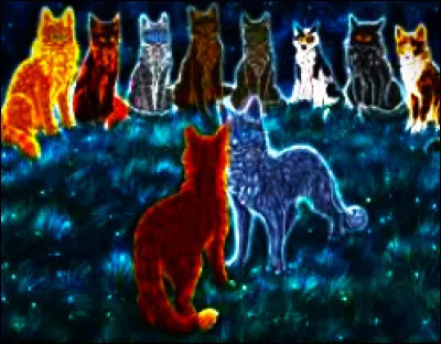 Qui sont ses chatons ?